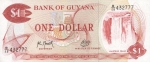 1 Gvianos doleris. 