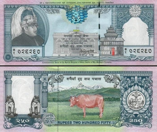250 Nepalo rupijų.