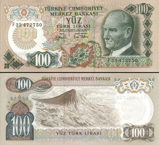 100 Turkijos lirų.