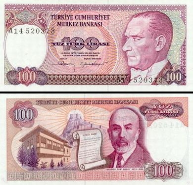 100 Turkijos lirų.