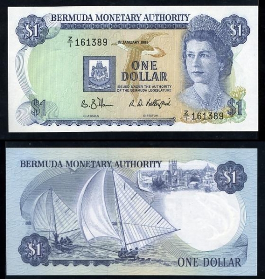 1 Bermudos doleris. 